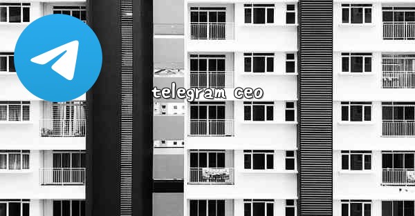telegram ceo