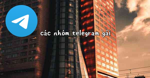 các nhóm telegram gái