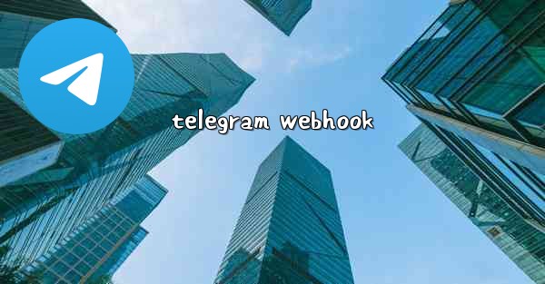 <b>telegram webhook</b>