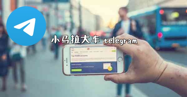 小马拉大车 telegram