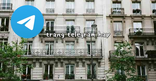 <b>trang telegram hay</b>