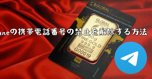 <b>Paper Planeの携帯電話番号の禁止を解除する方法</b>