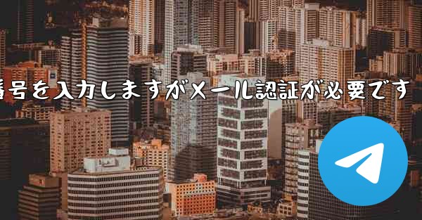 <b>紙飛行機は携帯電話番号を入力しますがメール認証が必要です</b>