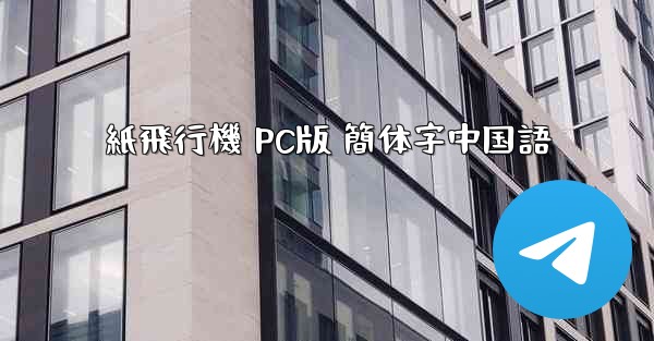 紙飛行機 PC版 簡体字中国語