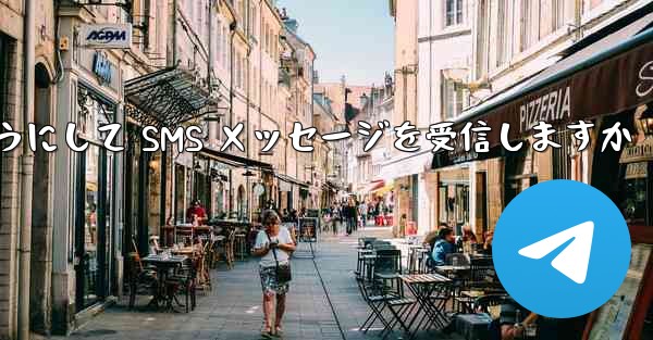 Paper Plane はどのようにして SMS メッセージを受信しますか