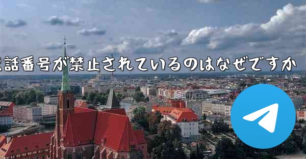 Paper Plane の携帯電話番号が禁止されているのはなぜですか