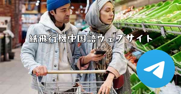 紙飛行機中国語ウェブサイト