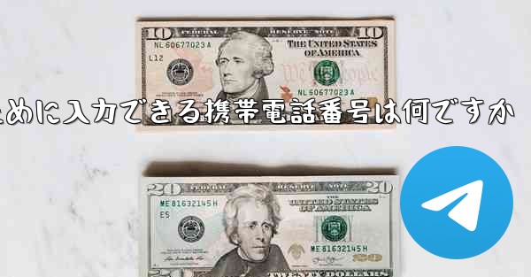 Paper Plane にログインするために入力できる携帯電話番号は何ですか