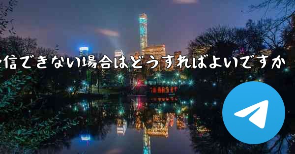 Paper Plane の国内携帯電話番号で認証コードを受信できない場合はどうすればよいですか