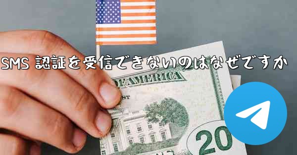 Paper Plane が SMS 認証を受信できないのはなぜですか