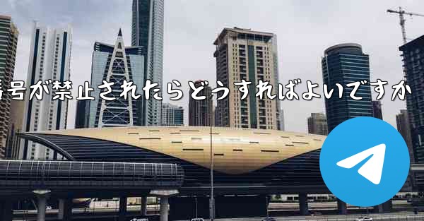 <b>私の紙飛行機の番号が禁止されたらどうすればよいですか</b>