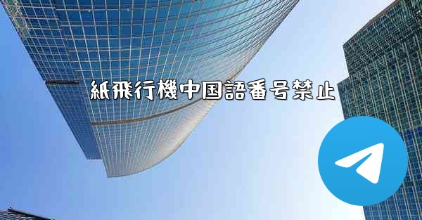 紙飛行機中国語番号禁止