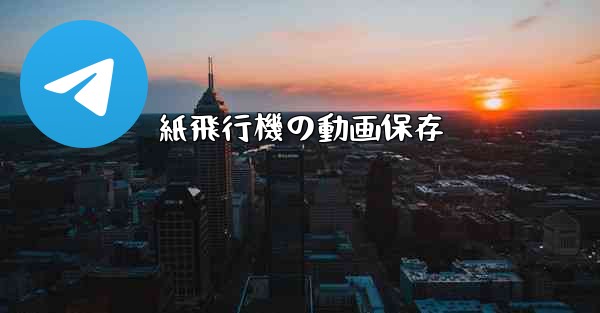 紙飛行機の動画保存