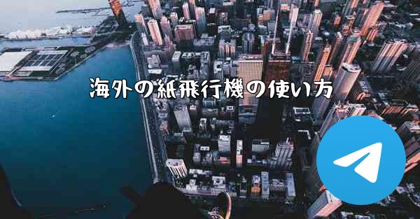 <b>海外の紙飛行機の使い方</b>