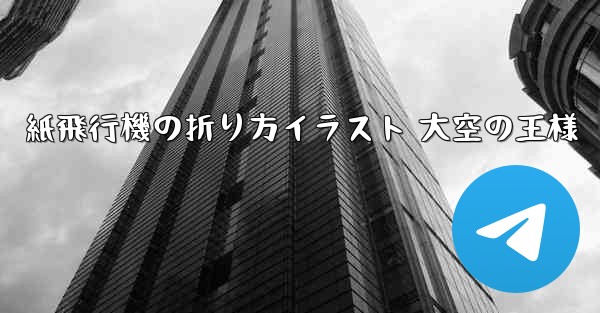 紙飛行機の折り方イラスト 大空の王様