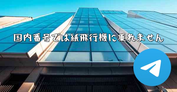国内番号では紙飛行機に乗れません