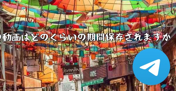 紙飛行機の動画はどのくらいの期間保存されますか