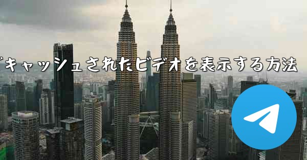 Paper Plane でキャッシュされたビデオを表示する方法