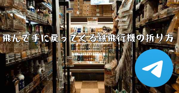 飛んで手に戻ってくる紙飛行機の折り方