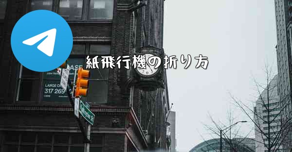 <b>紙飛行機の折り方</b>