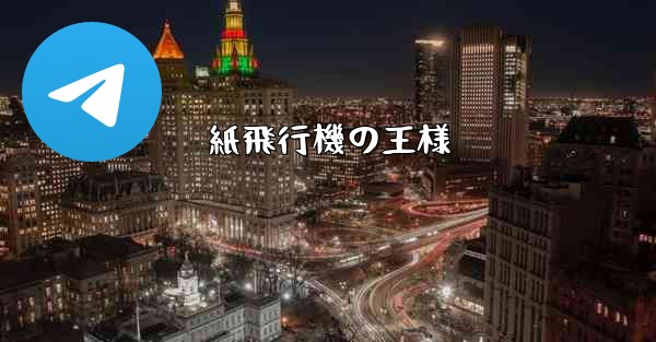 紙飛行機の王様