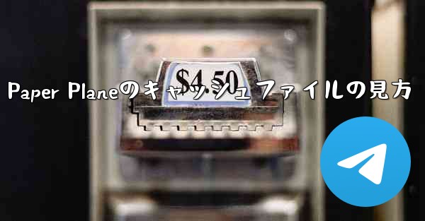 <b>Paper Planeのキャッシュファイルの見方</b>