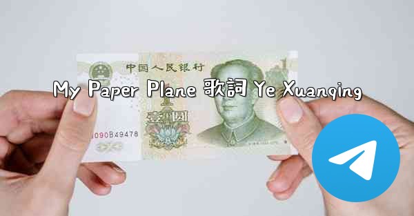 My Paper Plane 歌詞 Ye Xuanqing