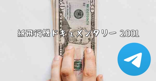 紙飛行機ドキュメンタリー 2001