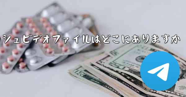 Paper Plane のキャッシュビデオファイルはどこにありますか