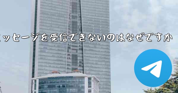 Paper Plane が確認テキスト メッセージを受信できないのはなぜですか