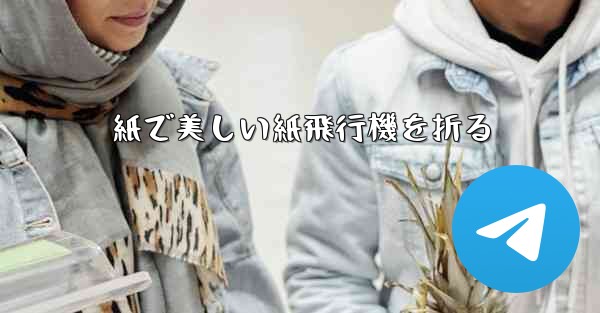 紙で美しい紙飛行機を折る