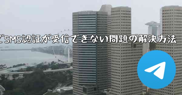 紙飛行機でSMS認証が受信できない問題の解決方法
