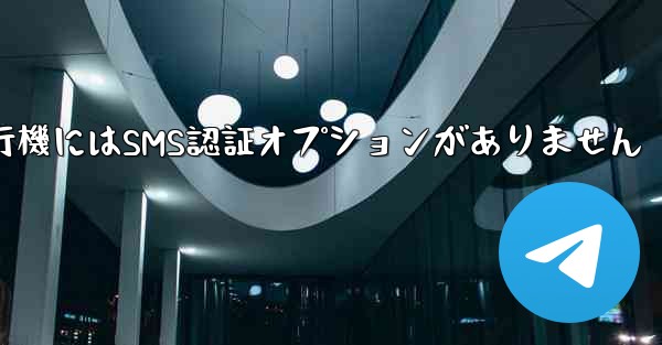 紙飛行機にはSMS認証オプションがありません