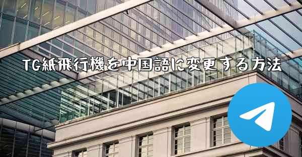 TG紙飛行機を中国語に変更する方法