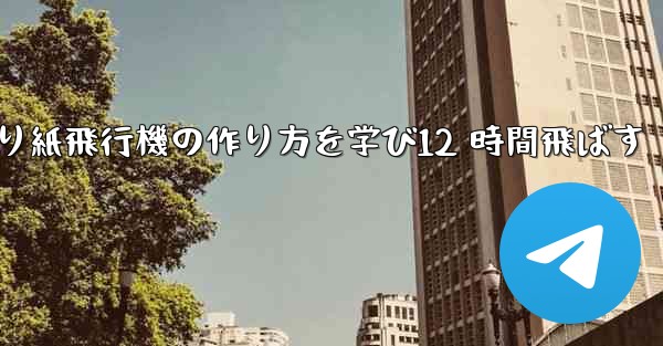 <b>折り紙飛行機の作り方を学び12 時間飛ばす</b>
