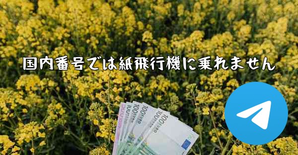 国内番号では紙飛行機に乗れません