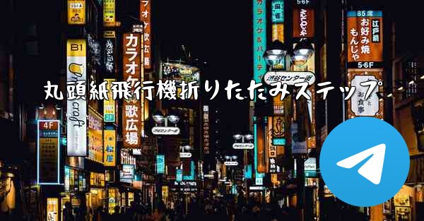 丸頭紙飛行機折りたたみステップ