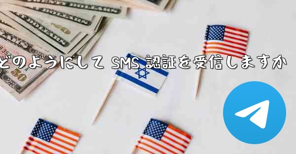 Paper Plane はどのようにして SMS 認証を受信しますか