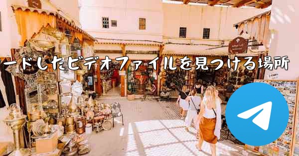 <b>携帯電話にダウンロードしたビデオファイルを見つける場所</b>