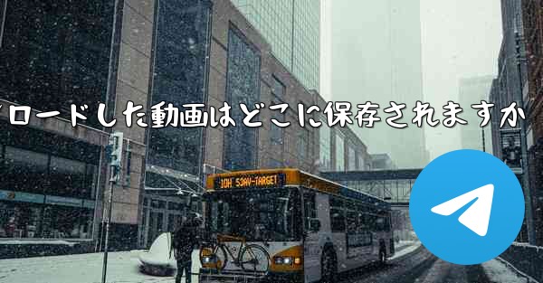 b局からダウンロードした動画はどこに保存されますか
