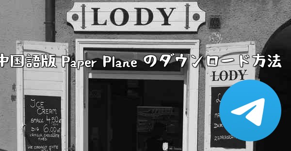 中国語版 Paper Plane のダウンロード方法